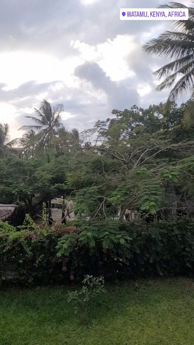 Publication 18052974142694859 Instagram